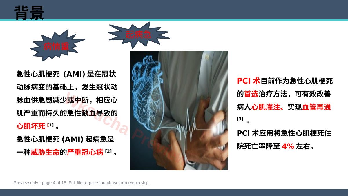 预览第 4 页