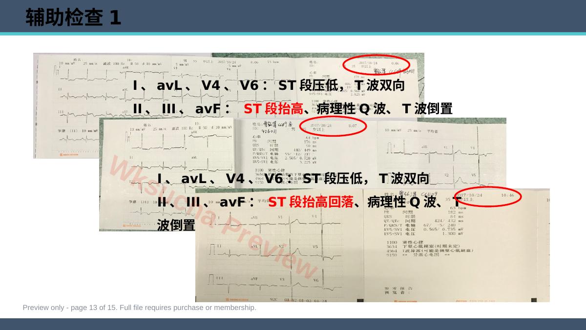 预览第 13 页