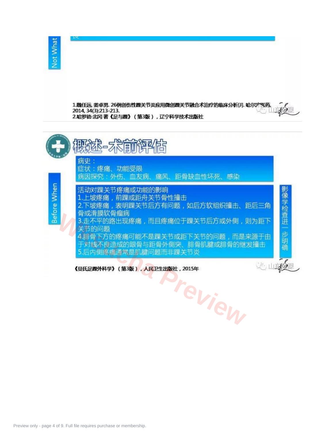 预览第 4 页