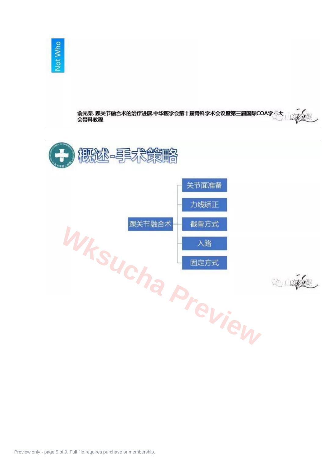 预览第 5 页