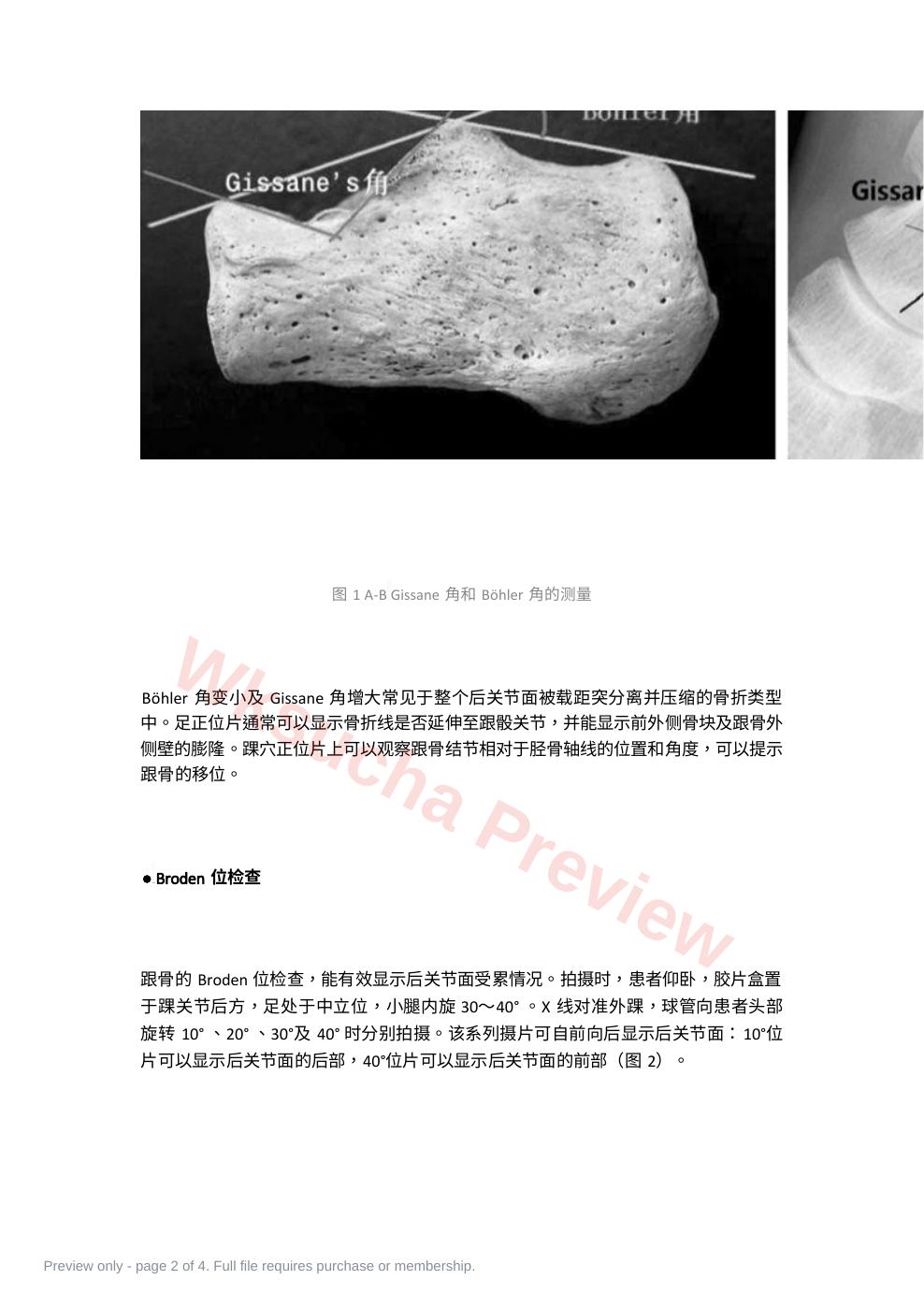 预览第 2 页