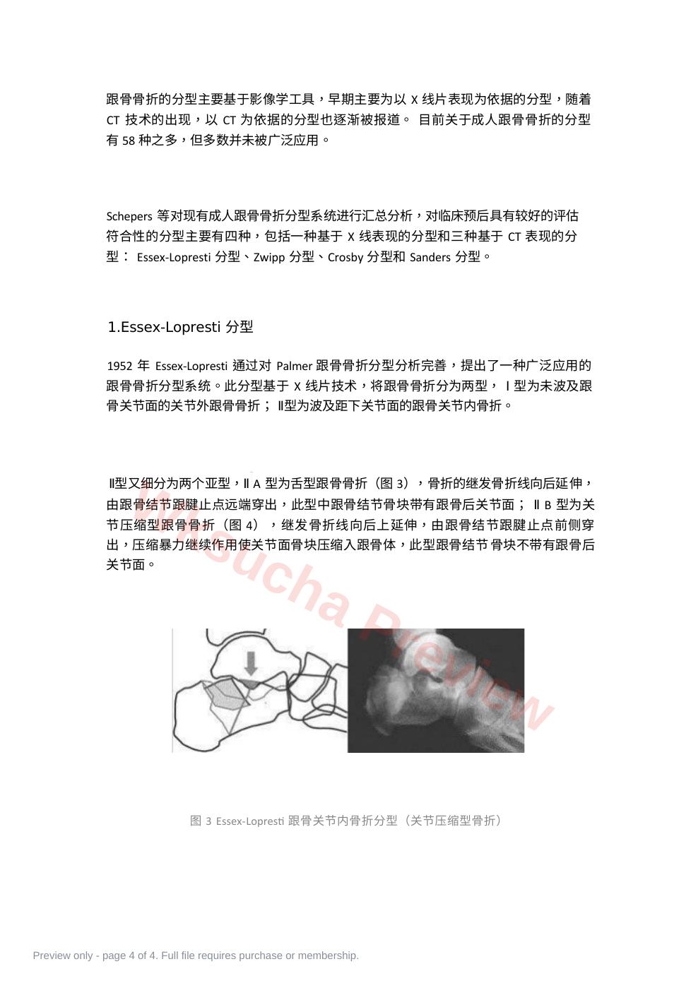 预览第 4 页
