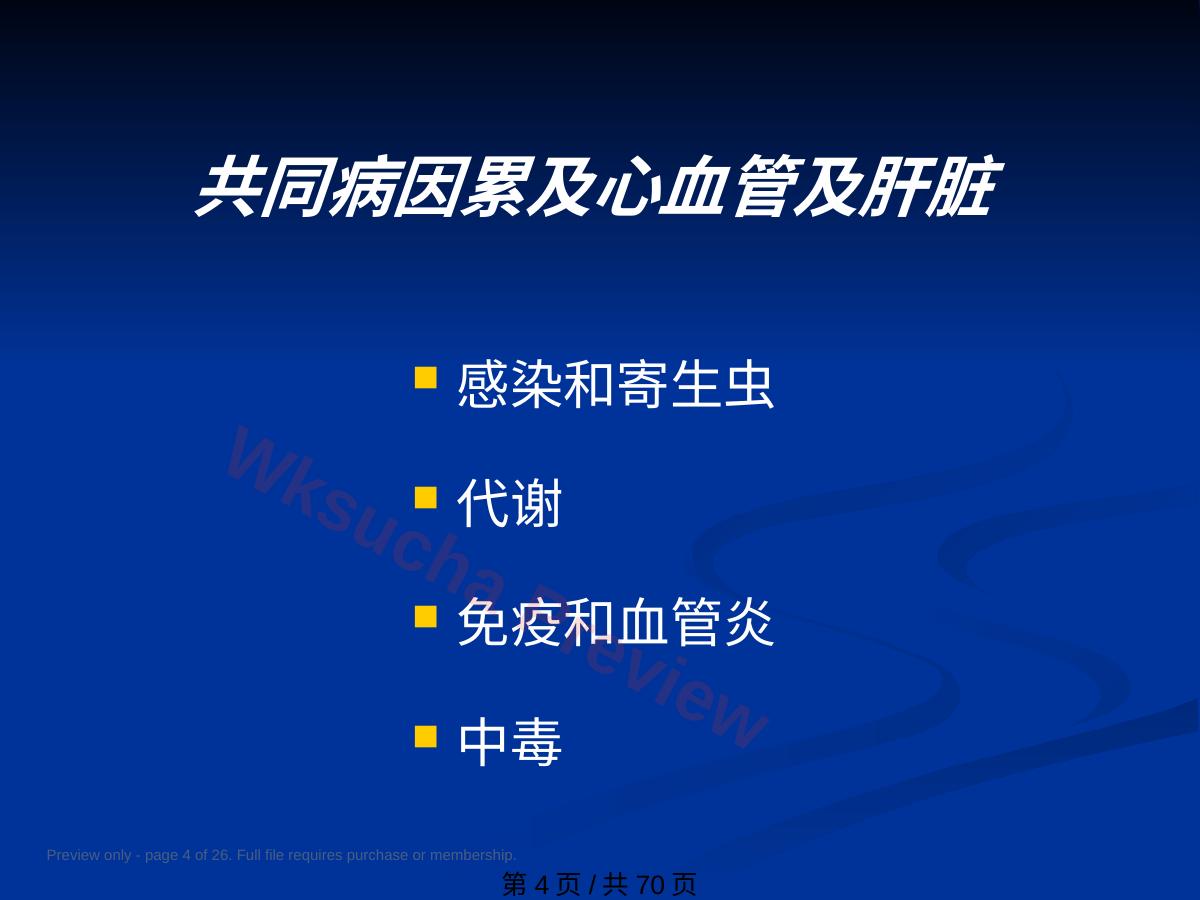 预览第 4 页