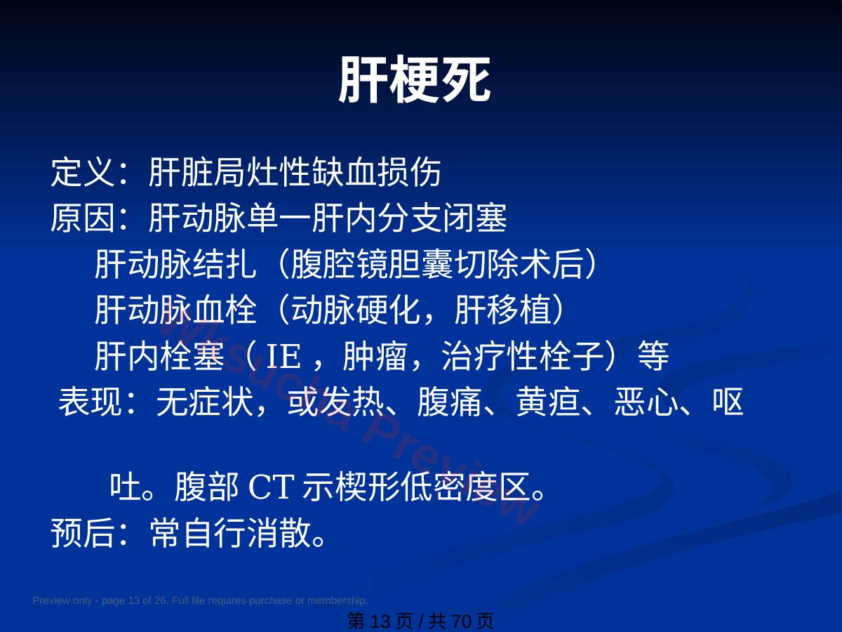 预览第 13 页