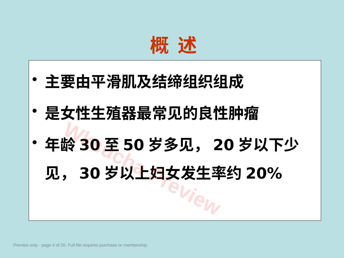 预览第 4 页