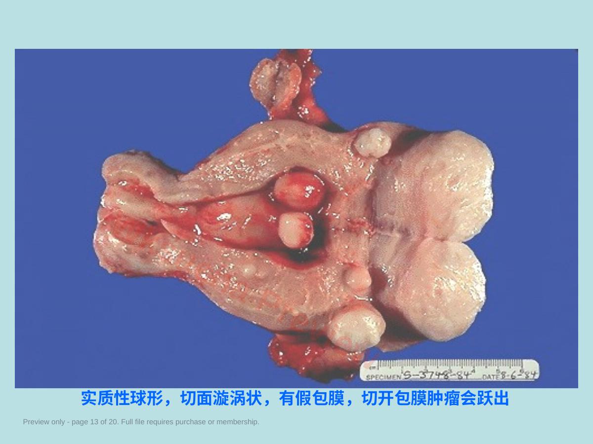 预览第 13 页