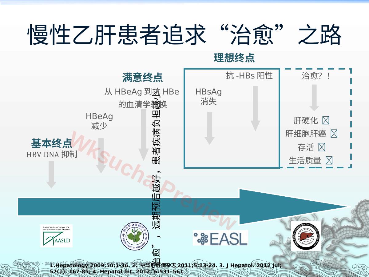 预览第 4 页
