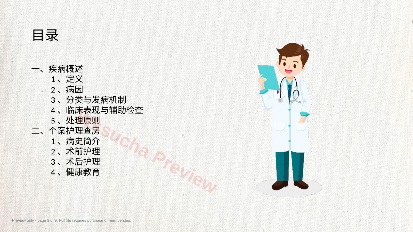 预览第 3 页