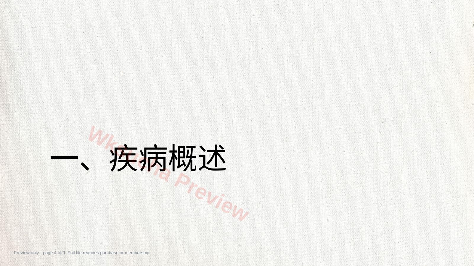 预览第 4 页
