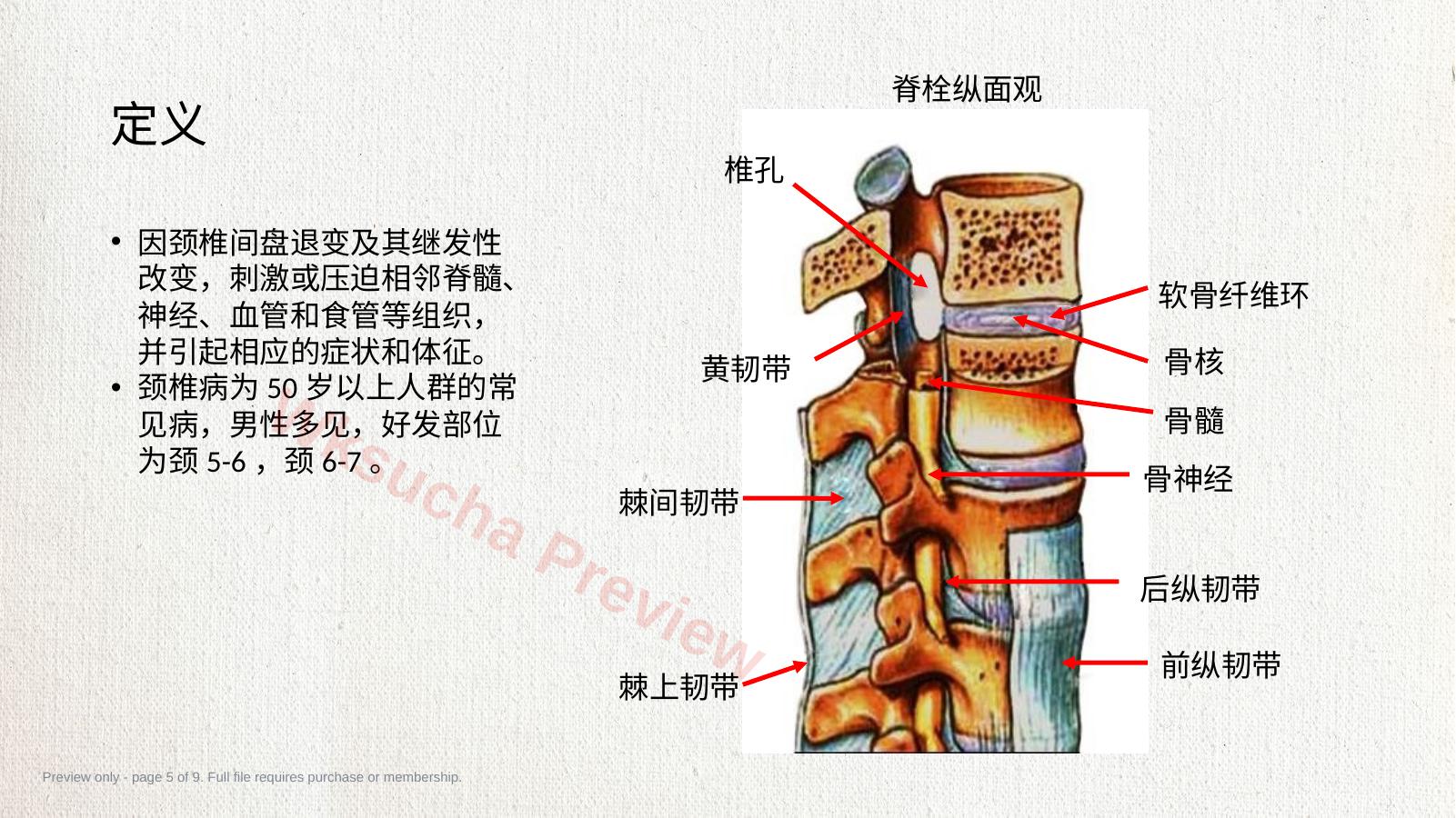 预览第 5 页