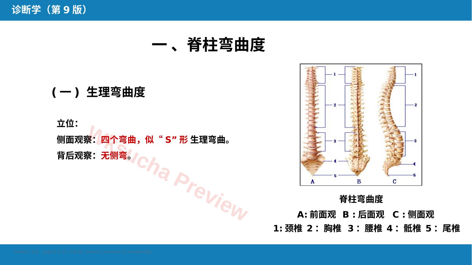预览第 5 页