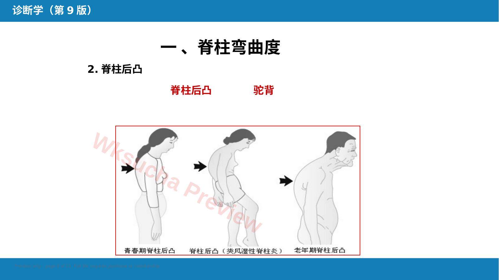预览第 8 页