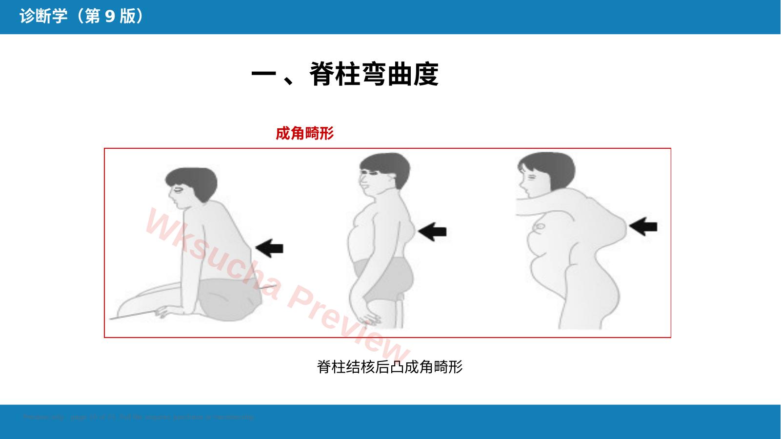预览第 10 页