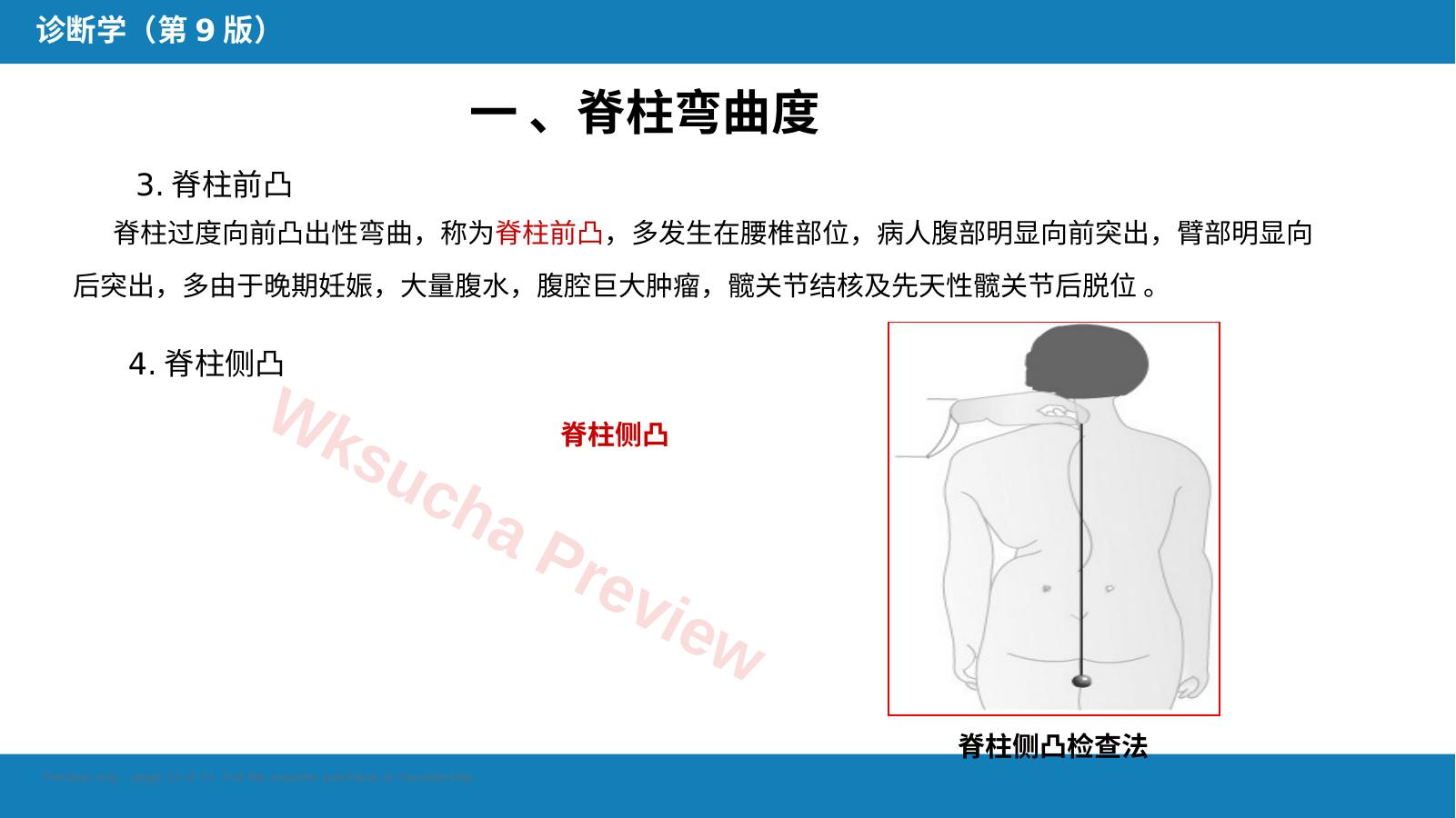 预览第 12 页