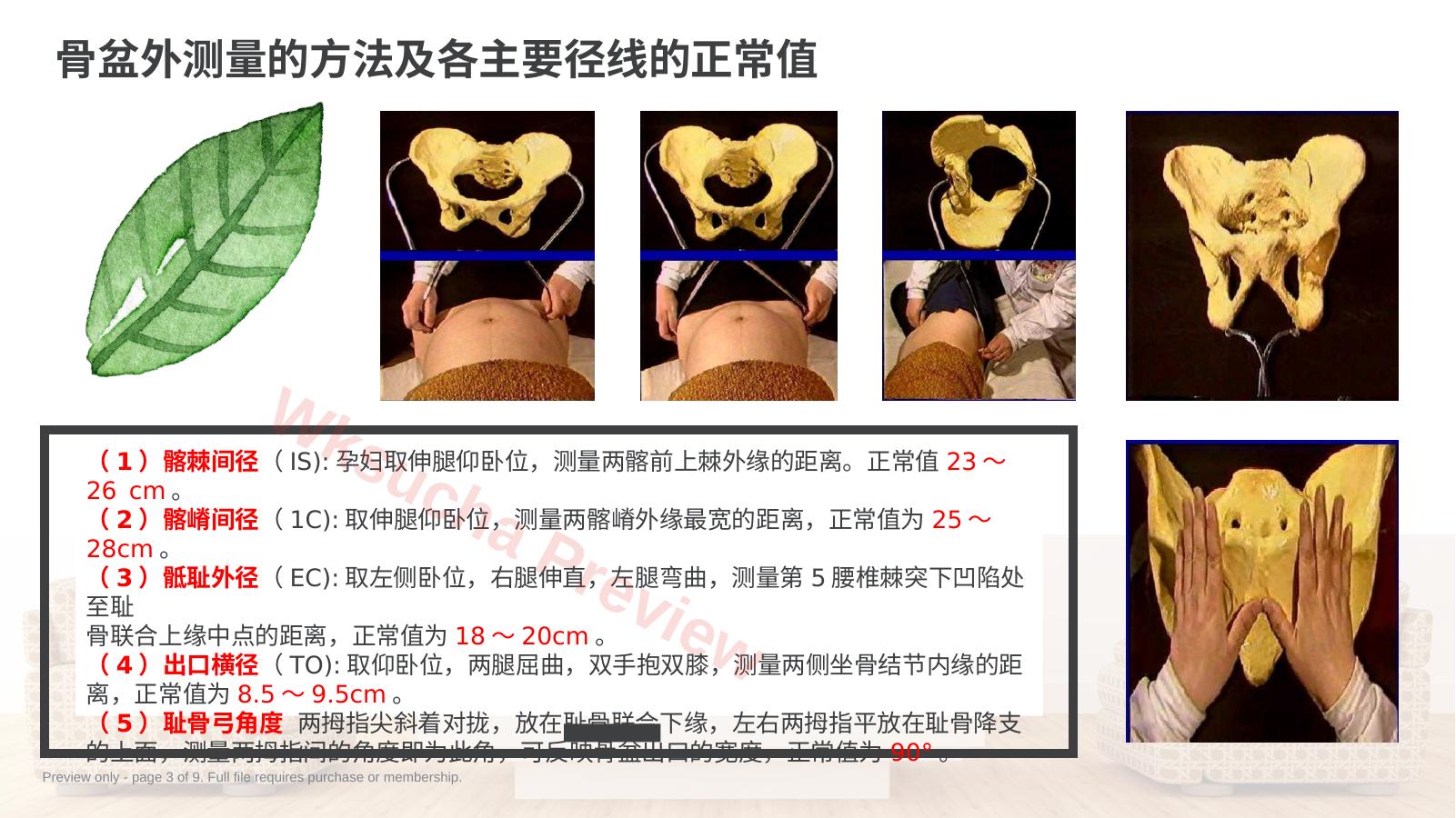 预览第 3 页