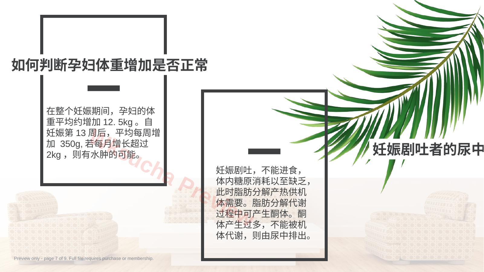预览第 7 页