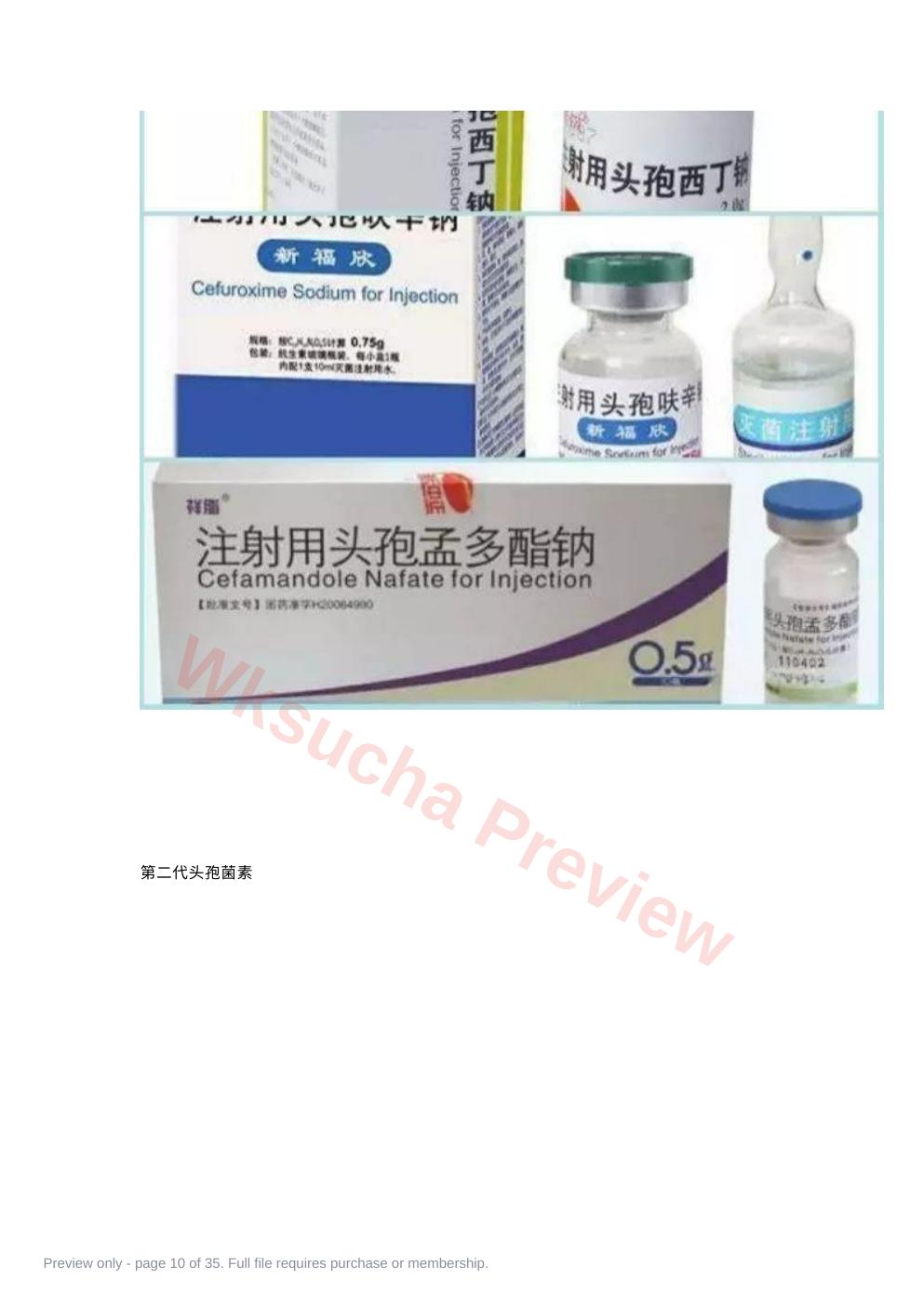 预览第 10 页