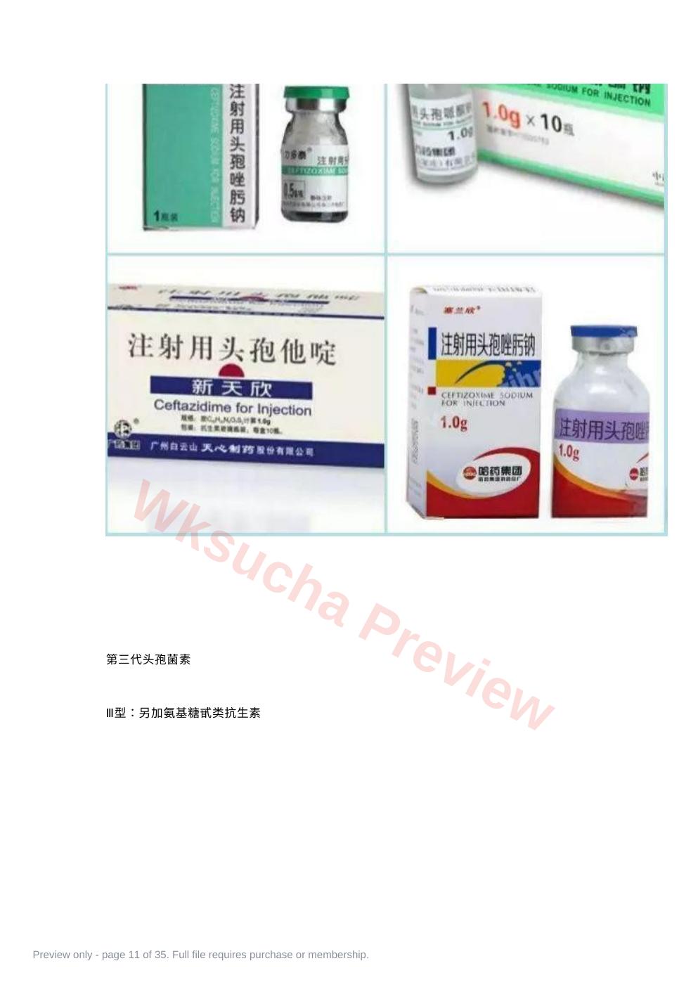预览第 11 页