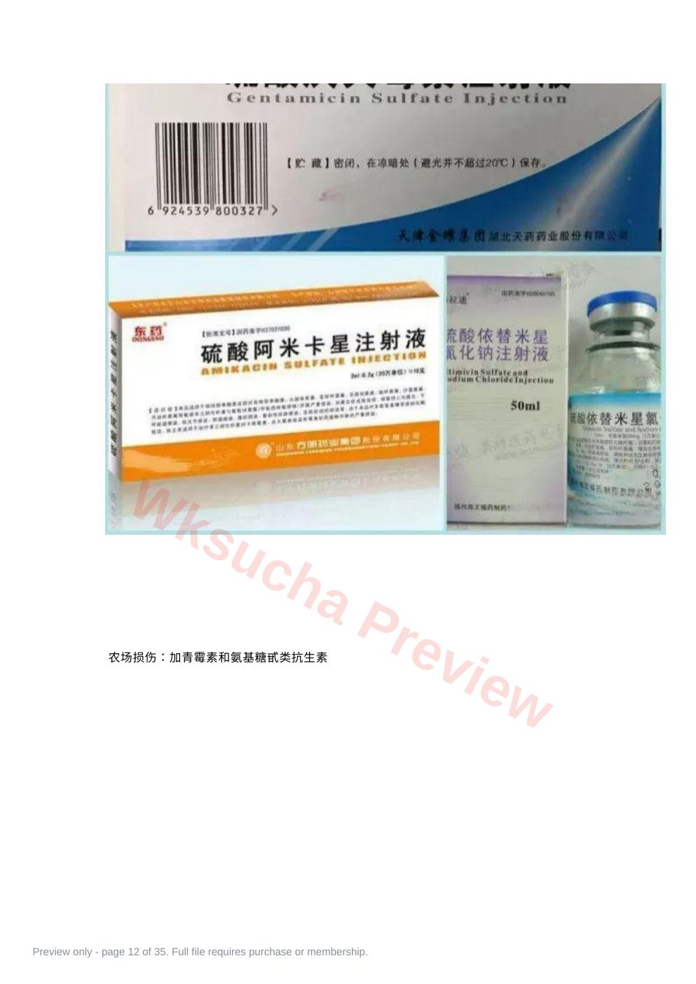预览第 12 页