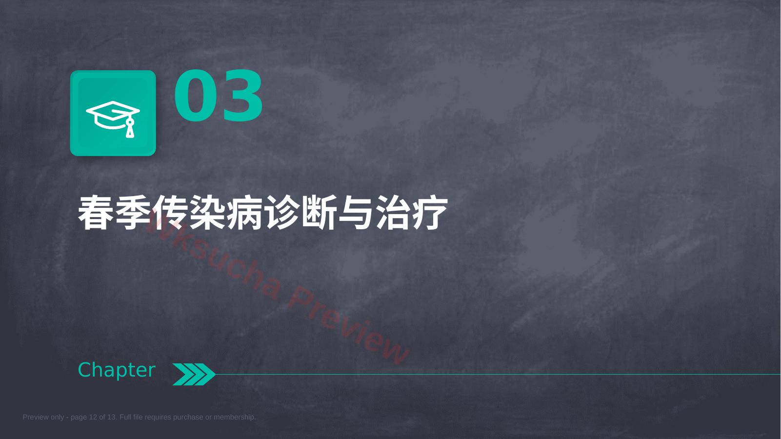 预览第 12 页