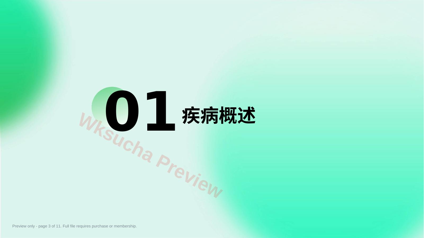 预览第 3 页