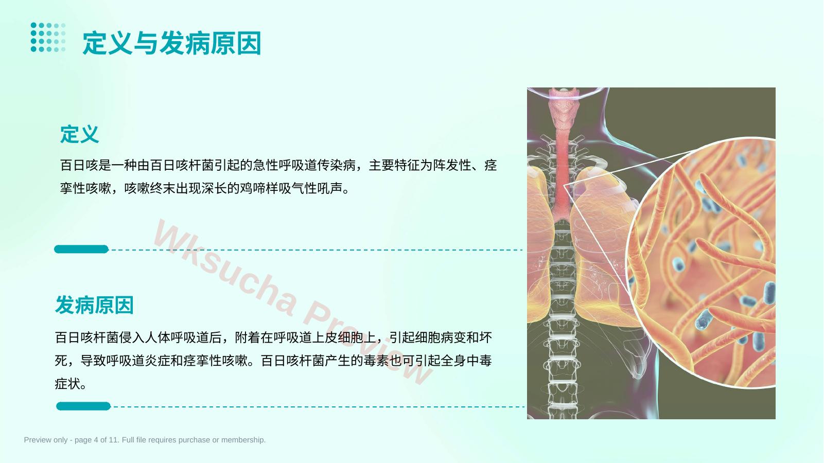 预览第 4 页