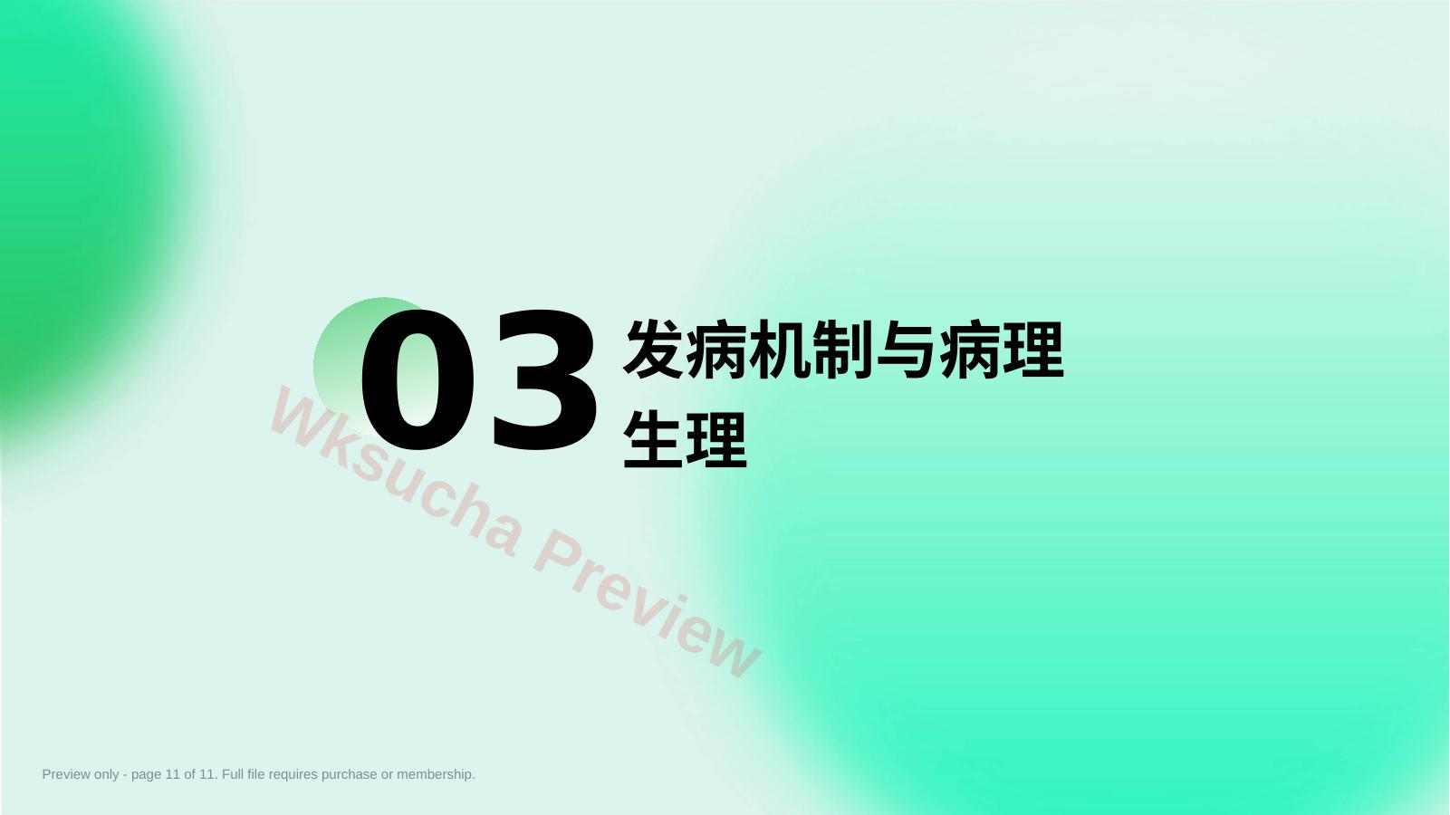 预览第 11 页