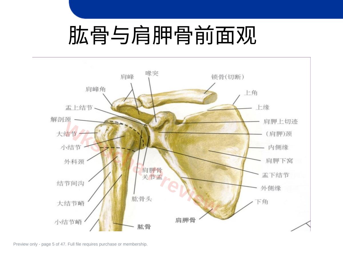 预览第 5 页
