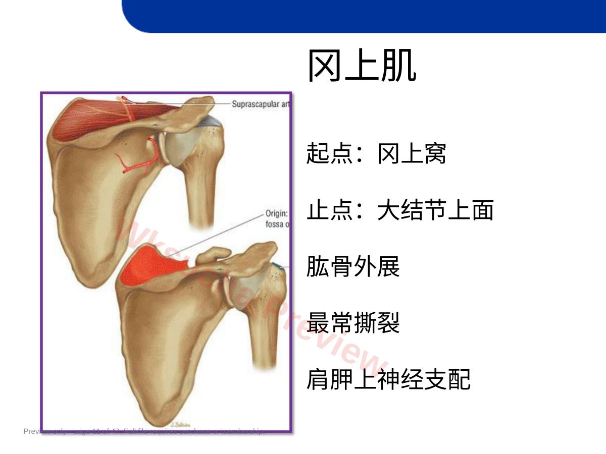 预览第 11 页