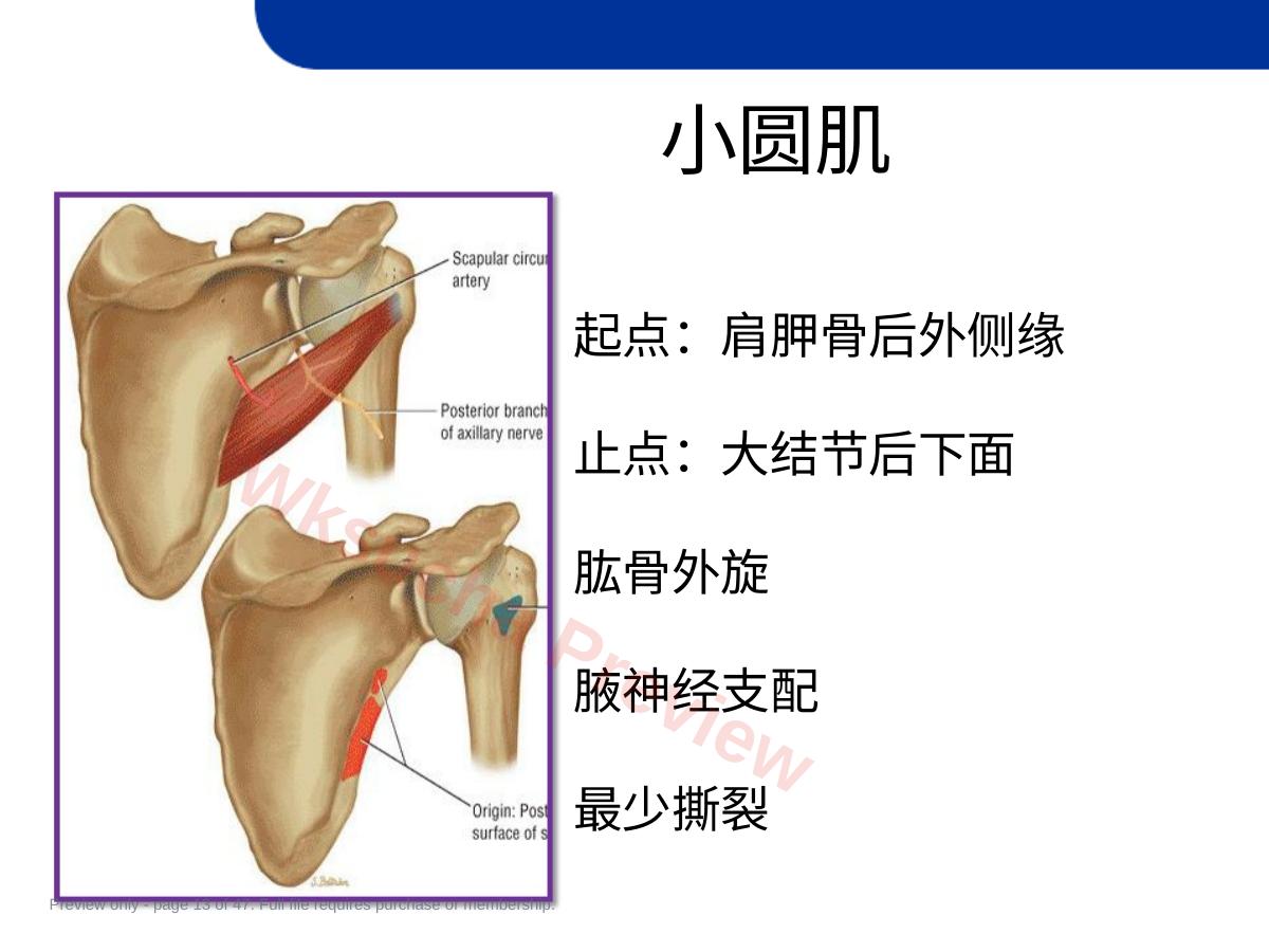 预览第 13 页