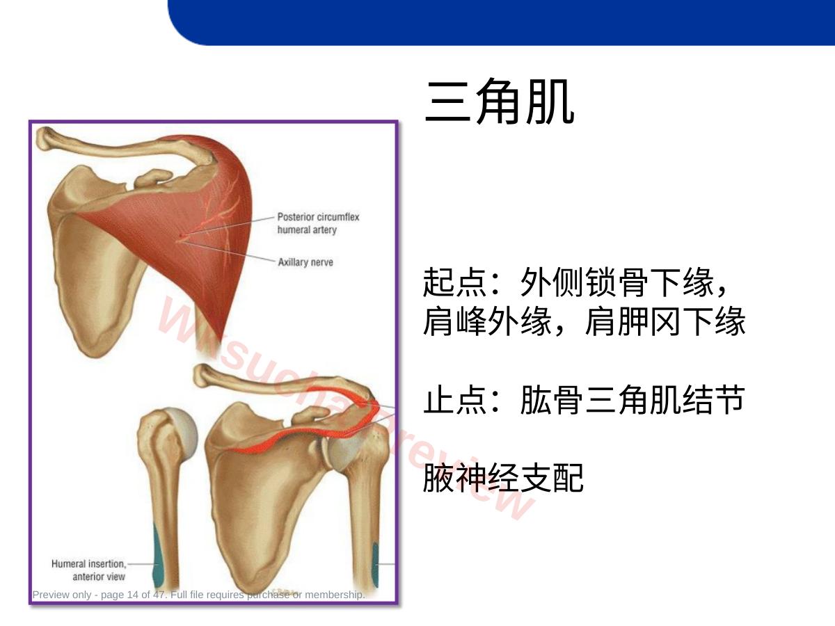 预览第 14 页