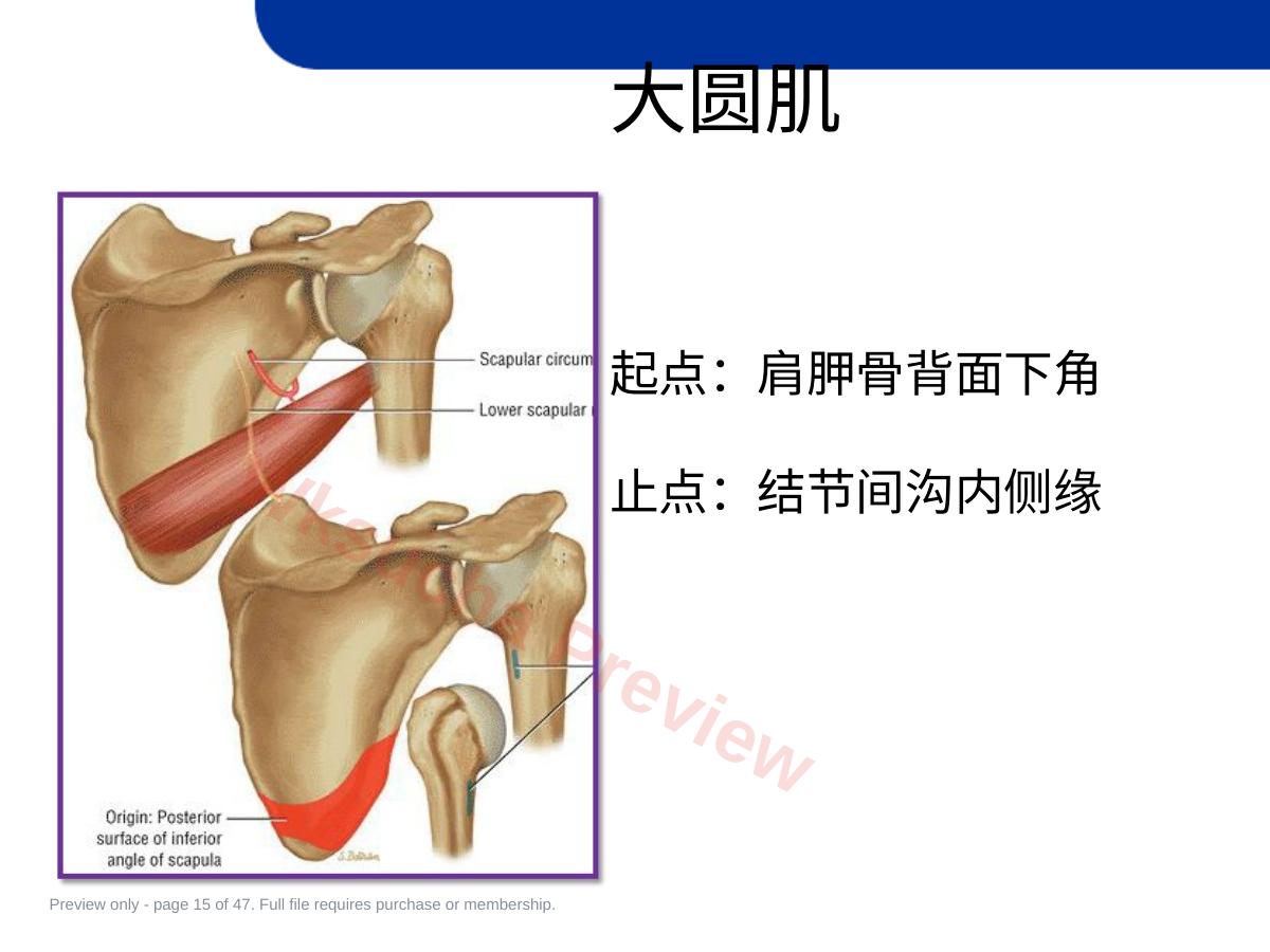 预览第 15 页