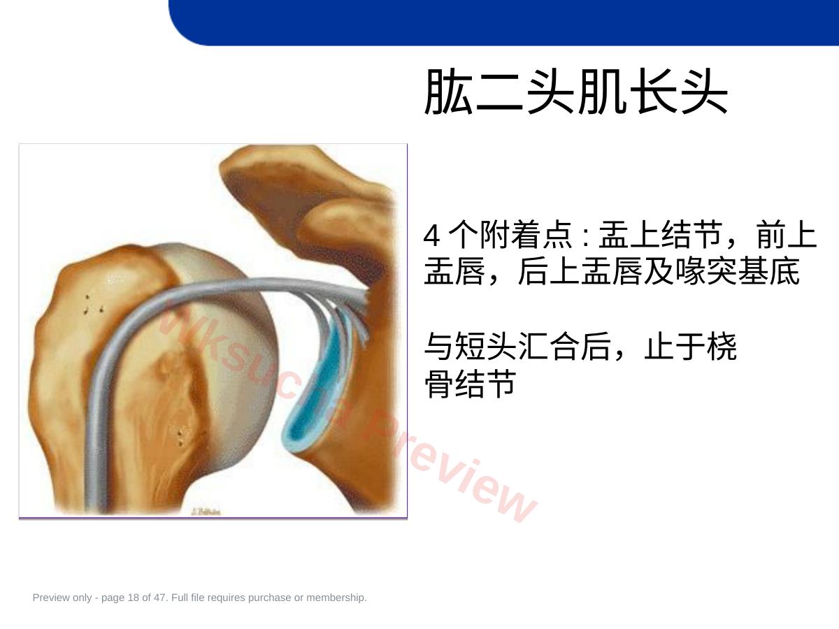 预览第 18 页