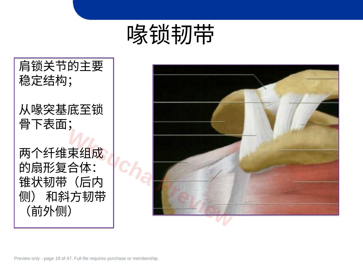 预览第 19 页