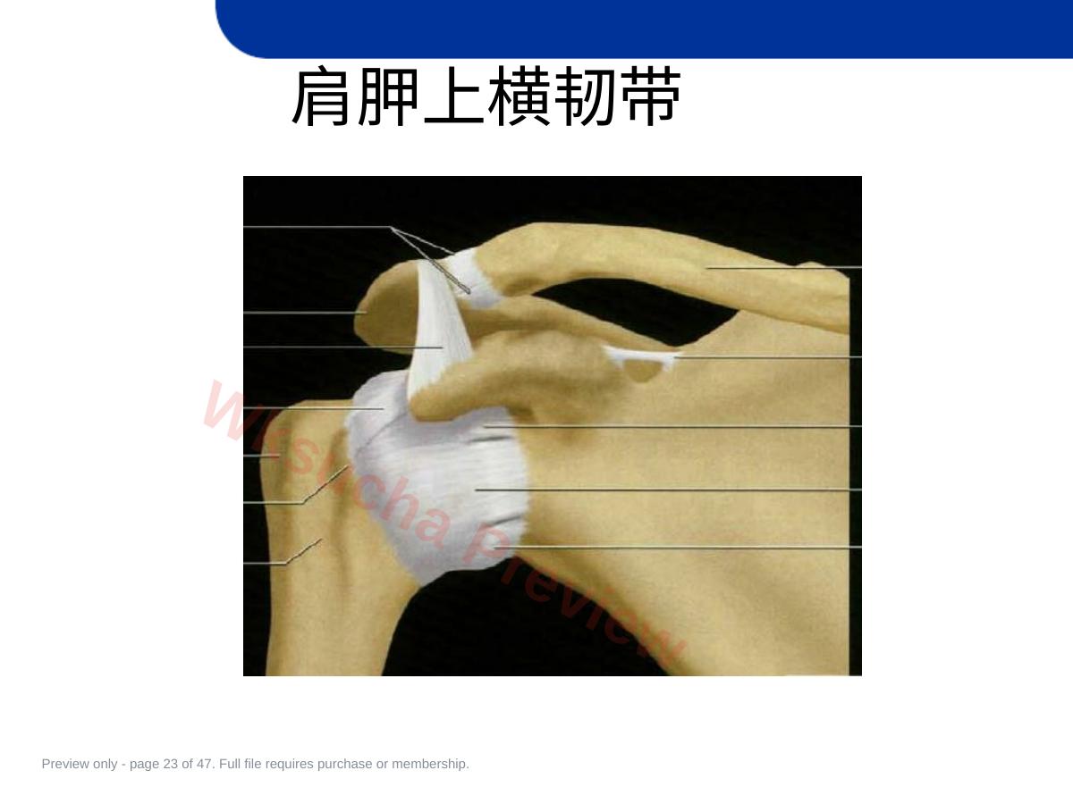 预览第 23 页