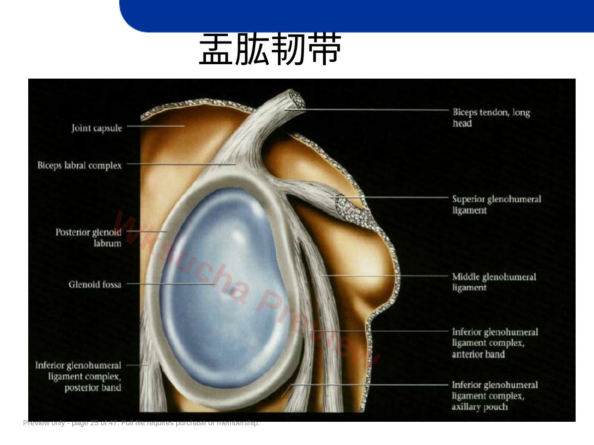 预览第 25 页