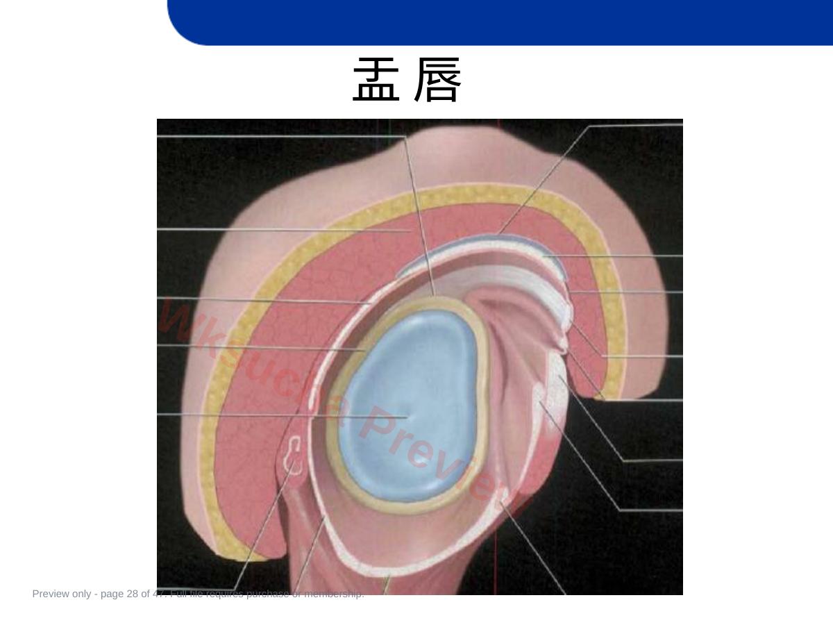 预览第 28 页
