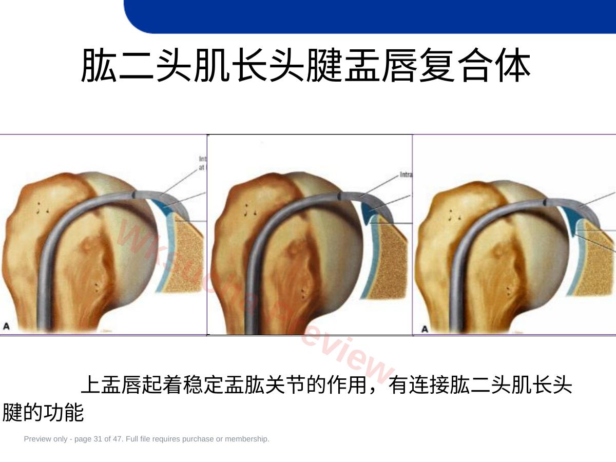 预览第 31 页