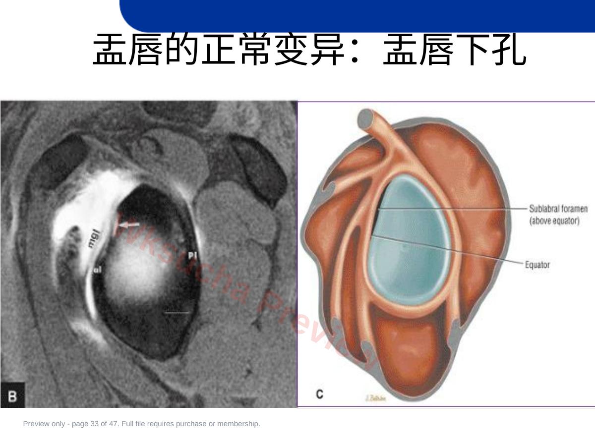 预览第 33 页