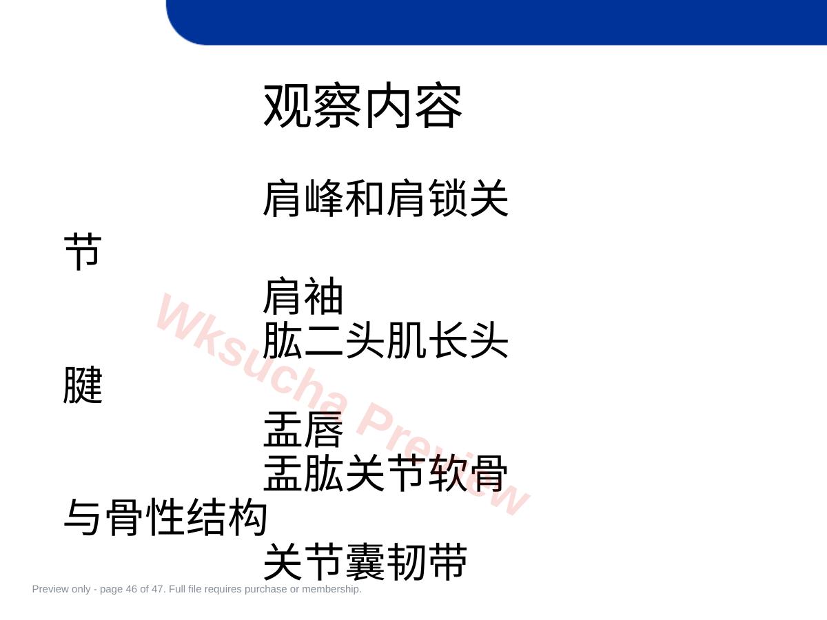 预览第 46 页
