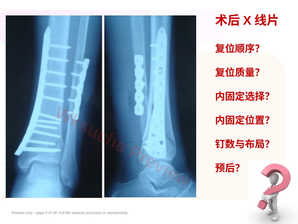 预览第 3 页