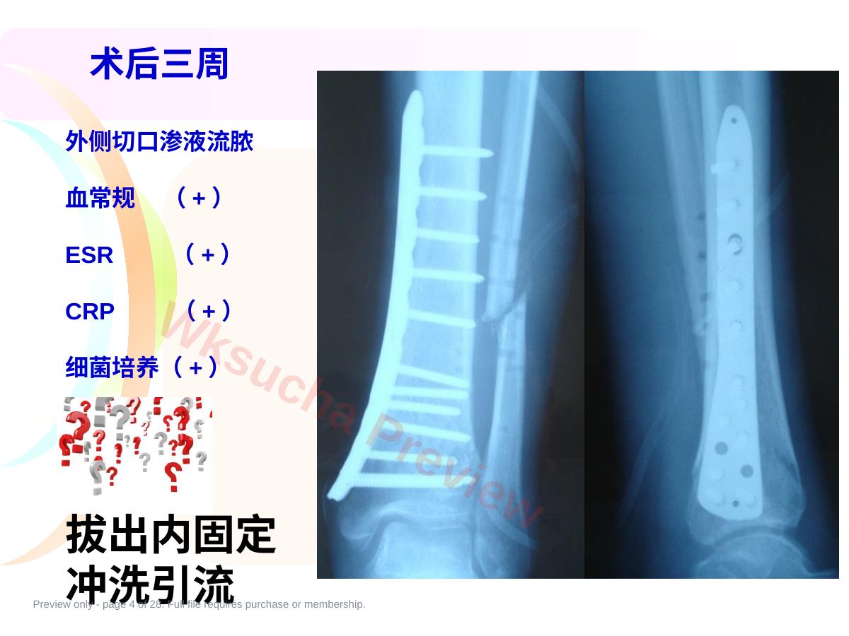 预览第 4 页