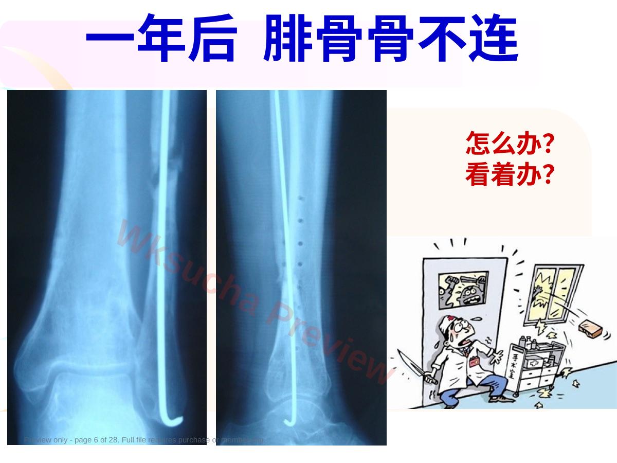 预览第 6 页