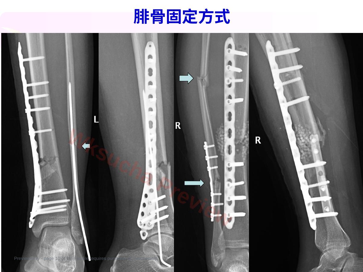 预览第 10 页