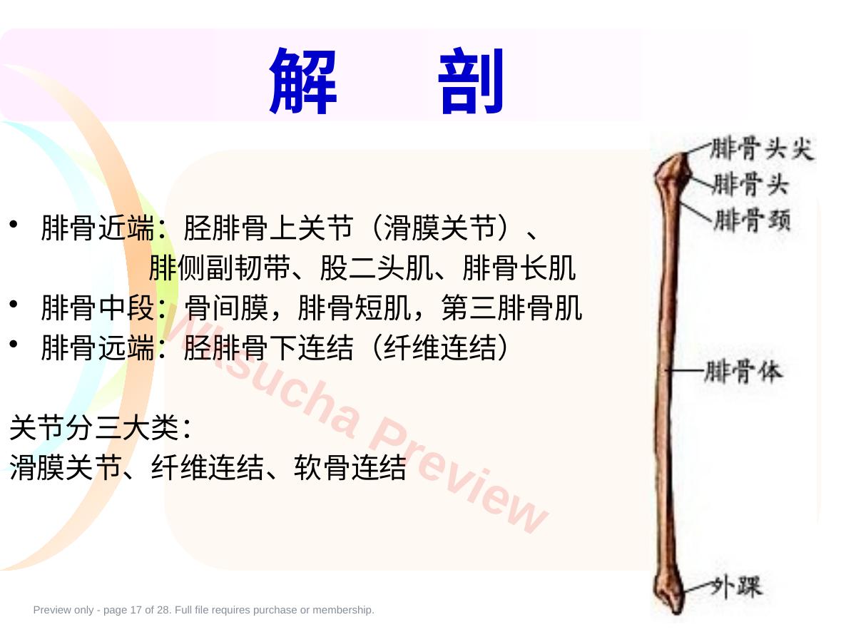 预览第 17 页