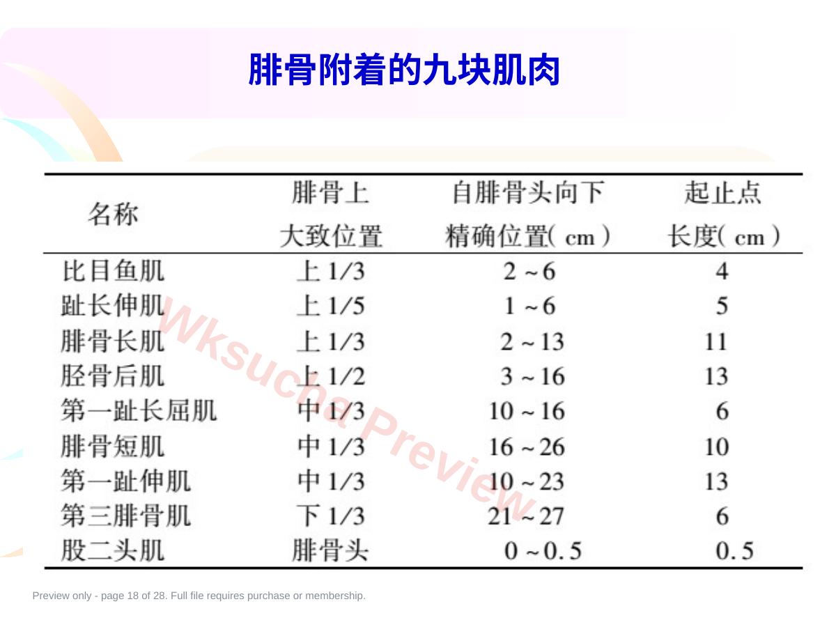 预览第 18 页