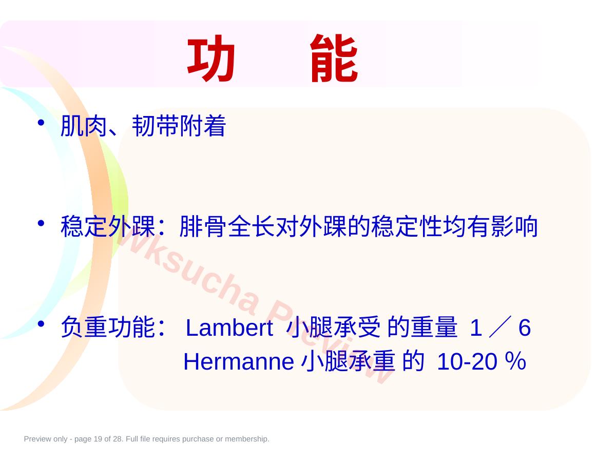 预览第 19 页