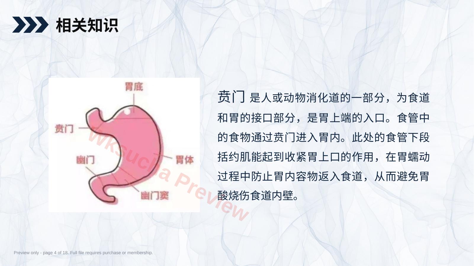 预览第 4 页