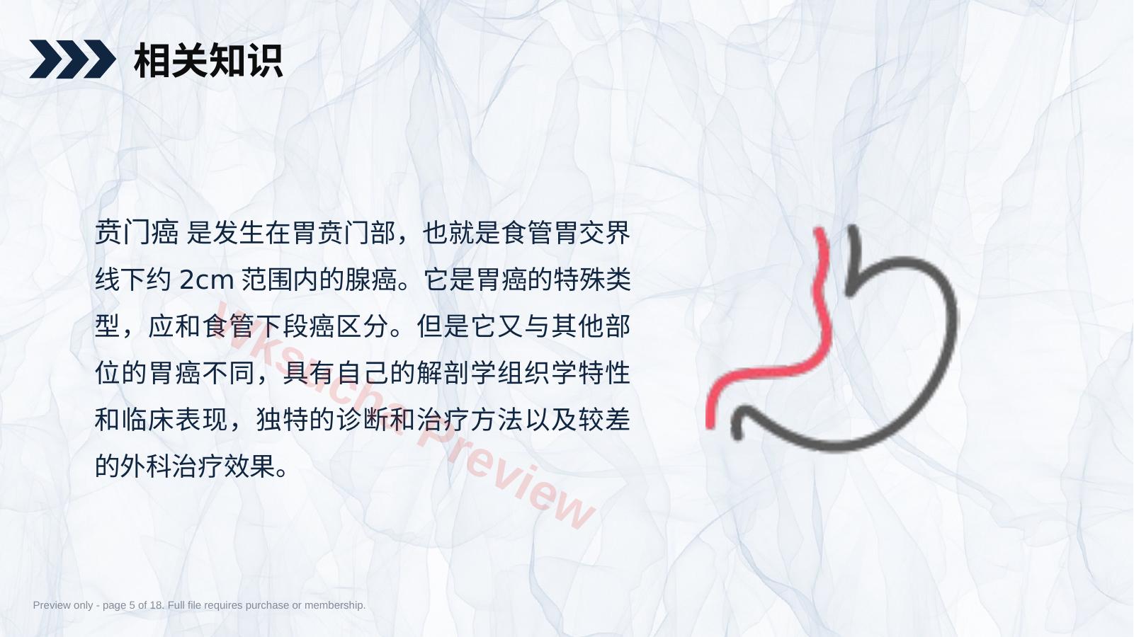 预览第 5 页
