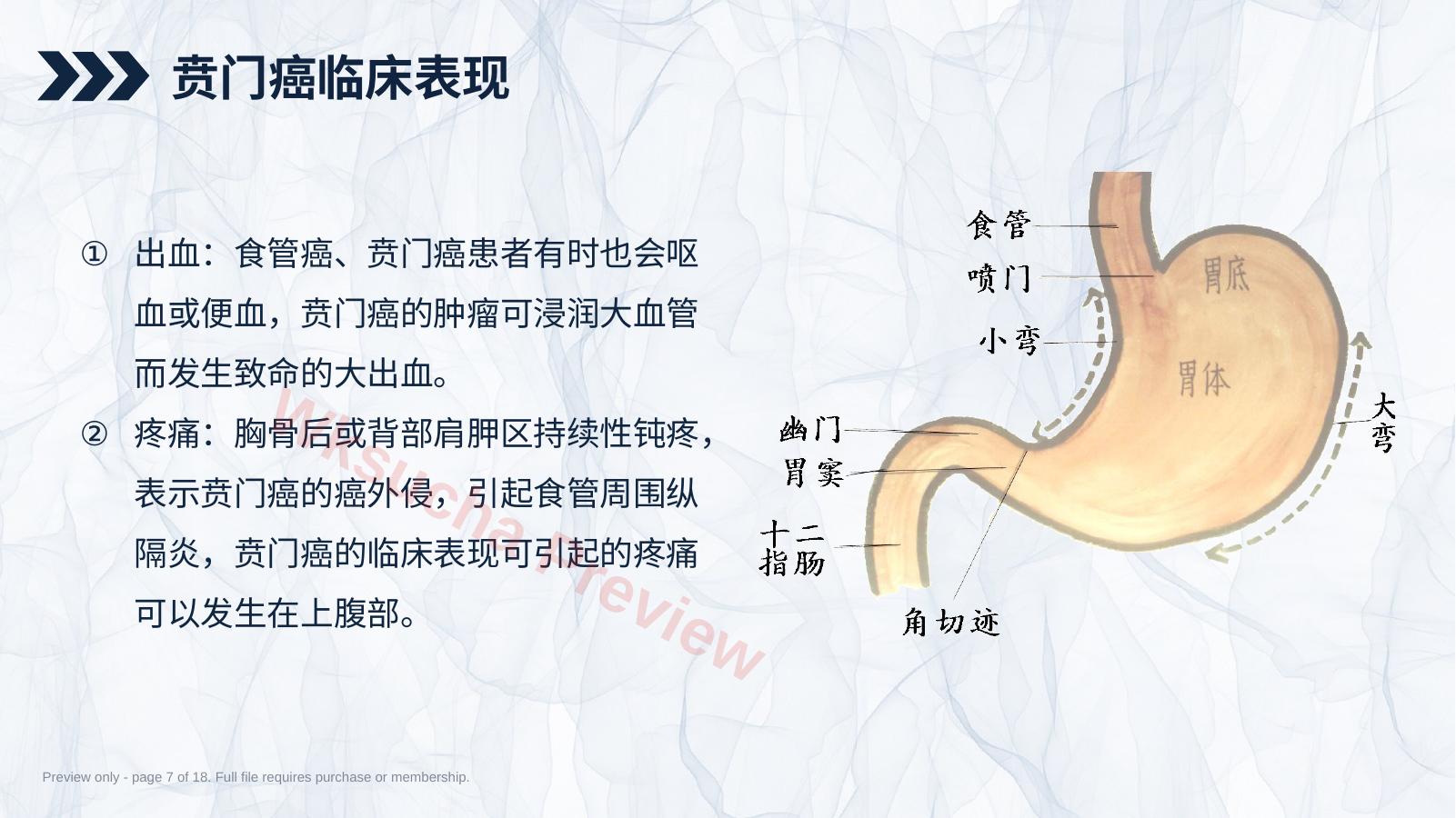 预览第 7 页